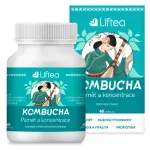 13156-liftea kombucha pamet a koncentrace 60tb